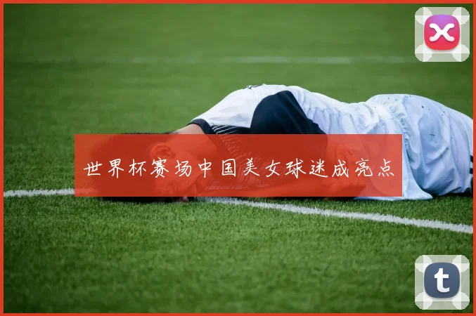 世界杯赛场中国美女球迷成亮点
